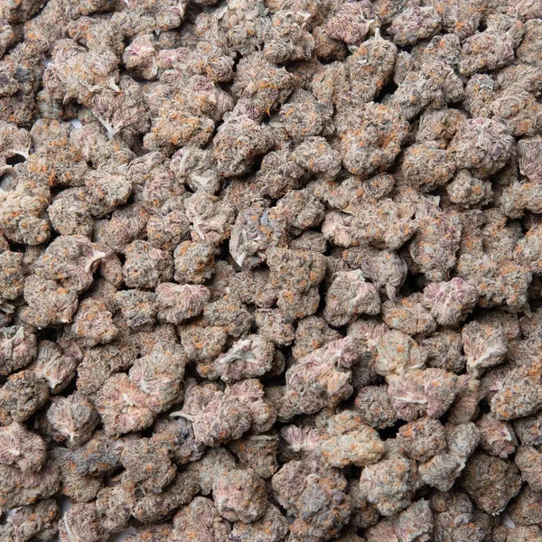 Gary Payton THCa Flower supergreenshempco