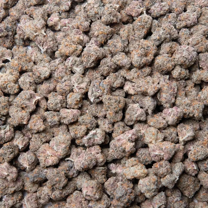 Gary Payton THCa Flower supergreenshempco