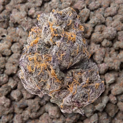 Gary Payton THCa Flower supergreenshempco