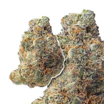 gelato 33 thca flower compare