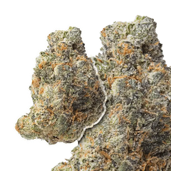 Gelato 33 THCa Flower 