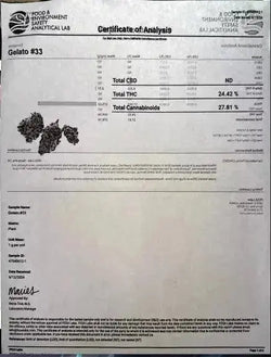 Gelato 33 THCa Flower supergreenshempco