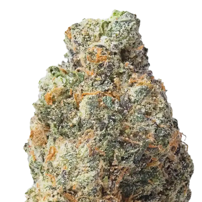 Gelato 33 THCa Flower