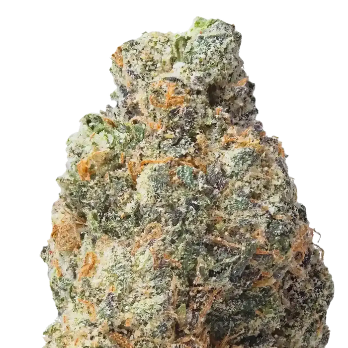 Gelato 33 THCa Flower