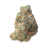 Gelato 33 THCa Flower