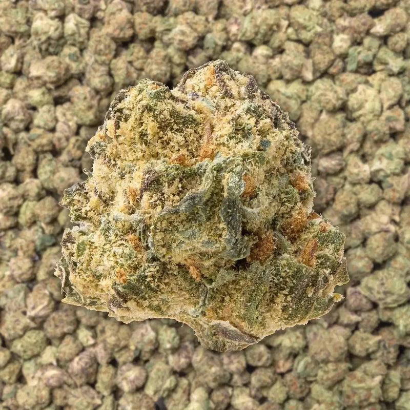 Gelato 41 Smalls THCa Flower supergreenshempco