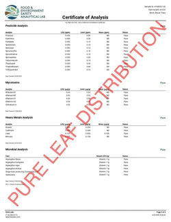 Gelato 41 Smalls THCa Flower supergreenshempco
