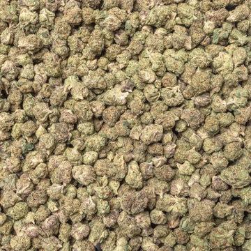 Gelato 41 Smalls THCa Flower supergreenshempco