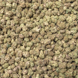 Gelato 41 Smalls THCa Flower supergreenshempco