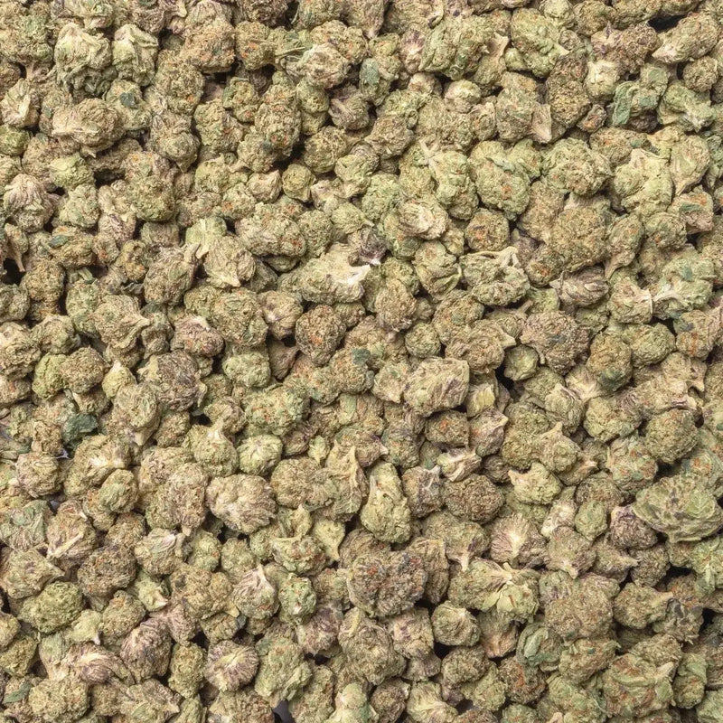 Gelato 41 Smalls THCa Flower supergreenshempco