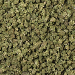 gelato 41 smalls unit shot