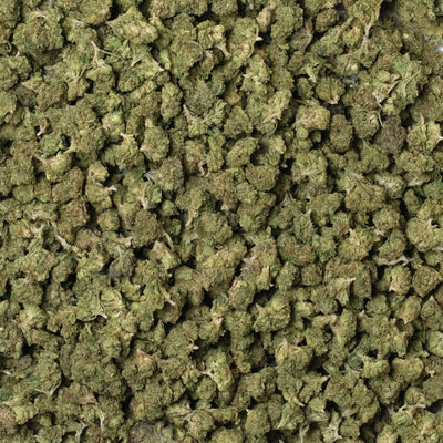 gelato 41 smalls unit shot