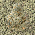 Gelato Cream Smalls THCa Flower Ounce supergreenshempco