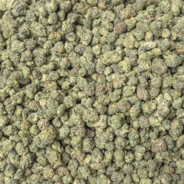 Gelato Cream Smalls THCa Flower Ounce supergreenshempco