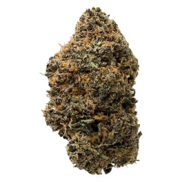 Gelato Smalls THCa Flower 