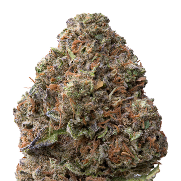 Gelato Greenhouse THCA Flower 