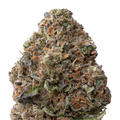 Gelato THCA Flower macro