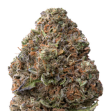 Gelato THCA Flower | 28 Grams