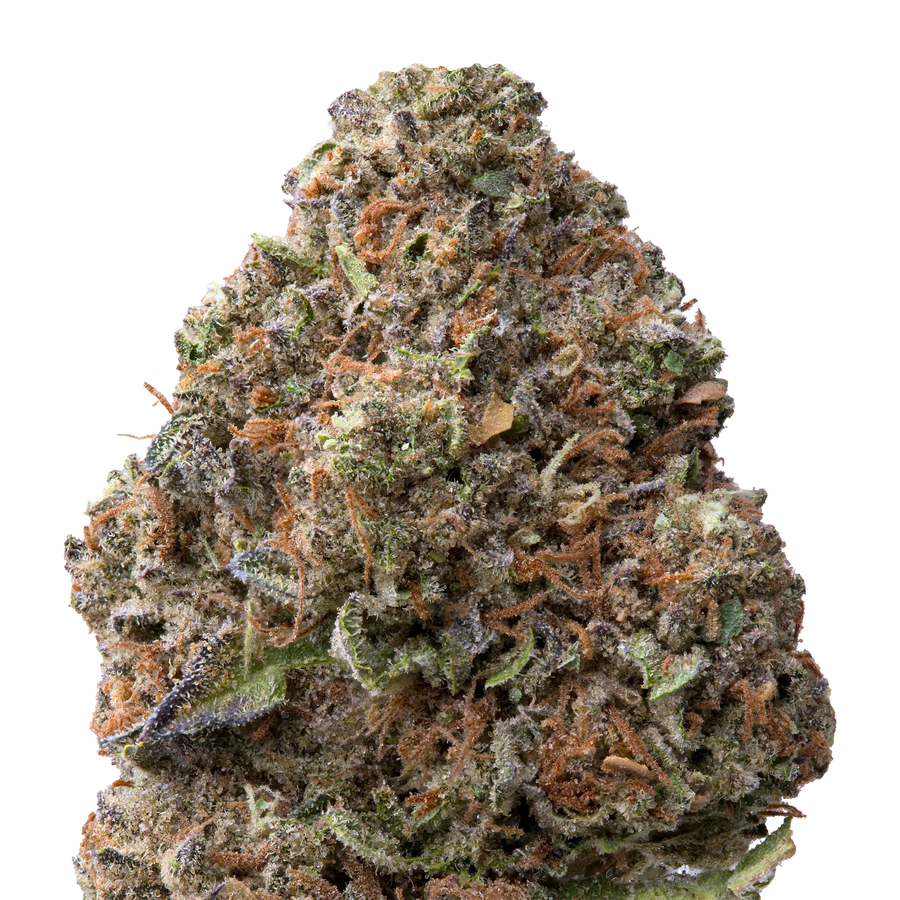Gelato THCA Flower | 28 Grams