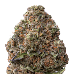 Gelato THCA Flower macro