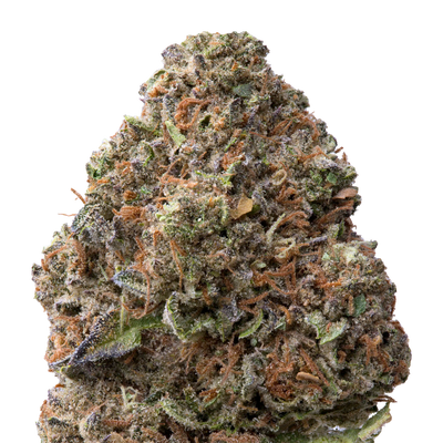 Gelato THCA Flower macro