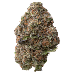 Gelato Greenhouse THCA Flower 