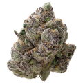 Gelato THCa Flower 