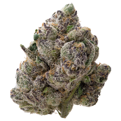 Gelato THCa Flower 