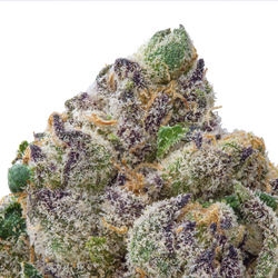 Gelato THCa Flower 