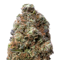 Gelonade THCA Flower macro