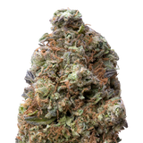 Gelonade THCA Flower | 28 Grams