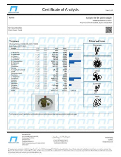 Girl Scout Cookies (GSC) Smalls THCa Flower Ounce supergreenshempco