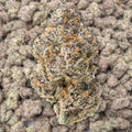 Glitter Bomb THCa Flower supergreenshempco