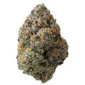 Glitter Bomb THCa Flower nug