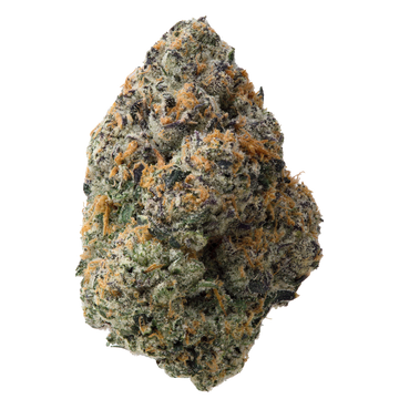 Glitter Bomb THCa Flower nug