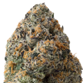 Glitter Bomb THCa Flower