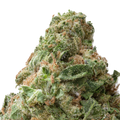Gorilla Glue #4 (GG4) THCa Flower Macro