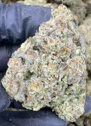 Gorilla Glue #4 THCa Flower 