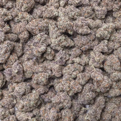 Grape Ape THCa Flower supergreenshempco