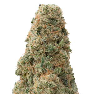 Green Crack Big THCA Flower macro