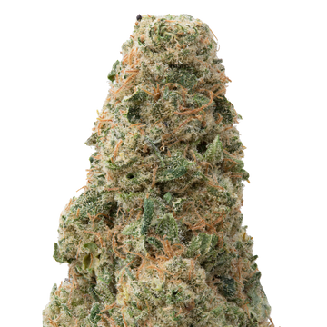 Green Crack Big THCA Flower macro