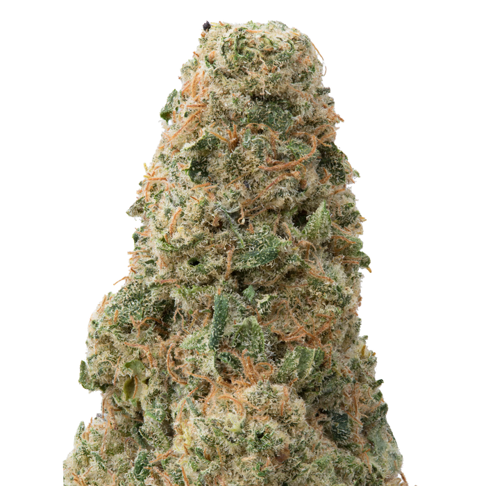 Green Crack Big THCA Flower macro