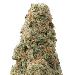 Green Crack Big THCA Flower macro