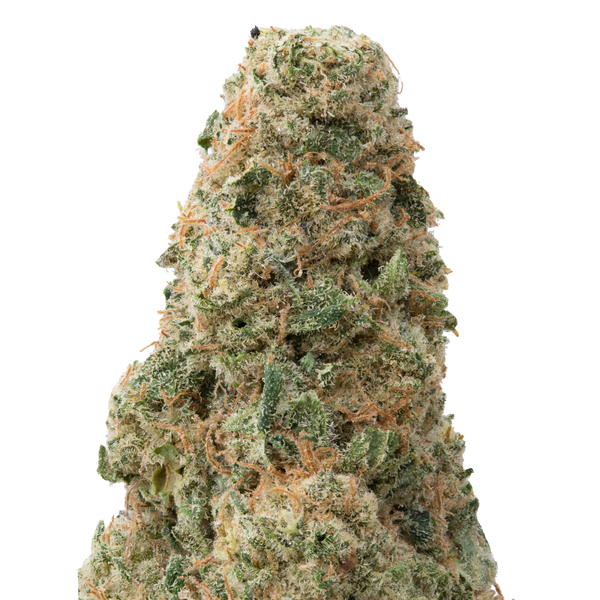 Green Crack Big THCA Flower macro