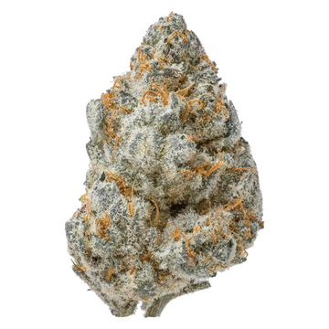 Guava Smalls THCa Flower supergreenshempco