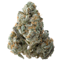 Guava THCa Flower