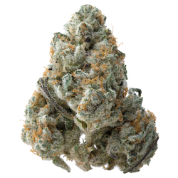 Guava THCa Flower
