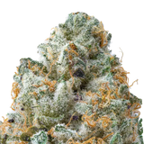 Guava THCa Flower