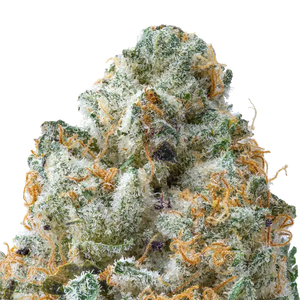 Guava THCa Flower Macro