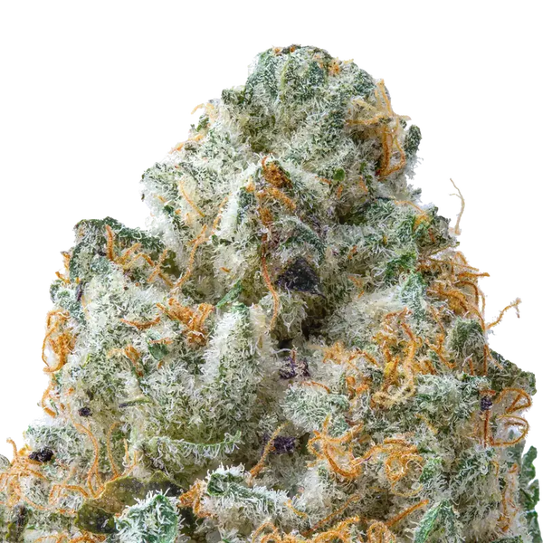 Guava THCa Flower Macro